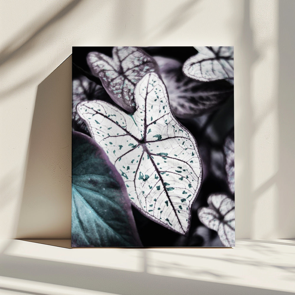 Whispers of Leaves | Canvas