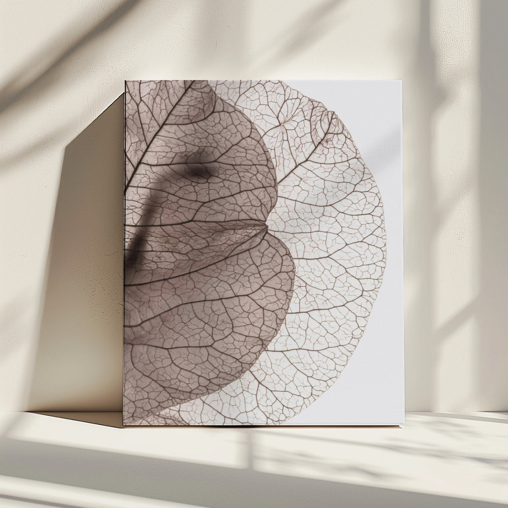 Veins of Nature | Canvas