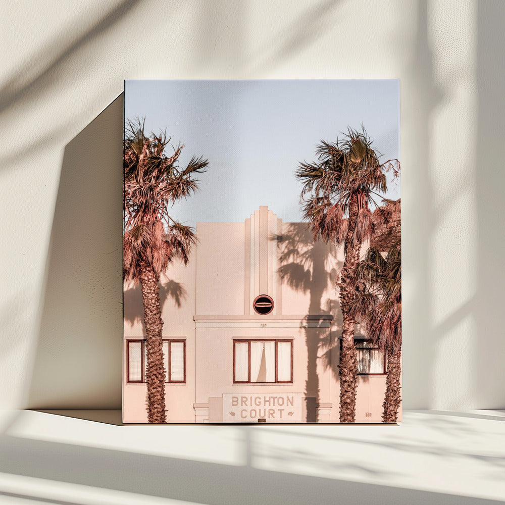 Palm Shadows | Canvas