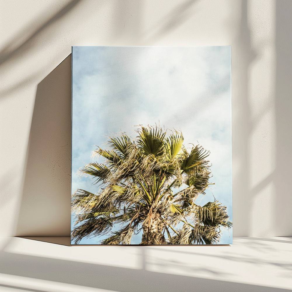 Sunlit Fronds | Canvas