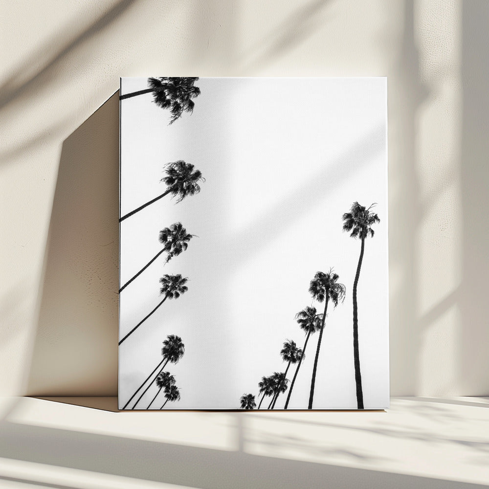 Whispers in the Sky | Canvas