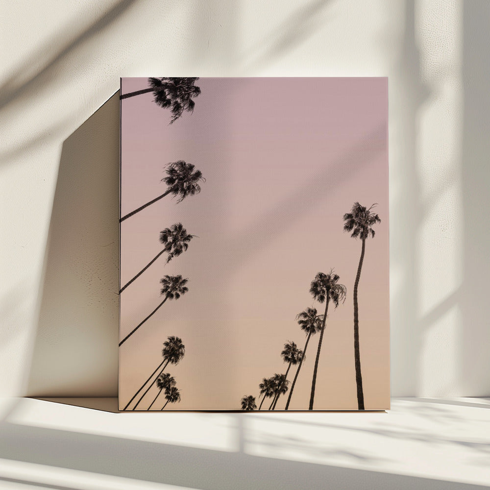 Twilight Palms | Canvas