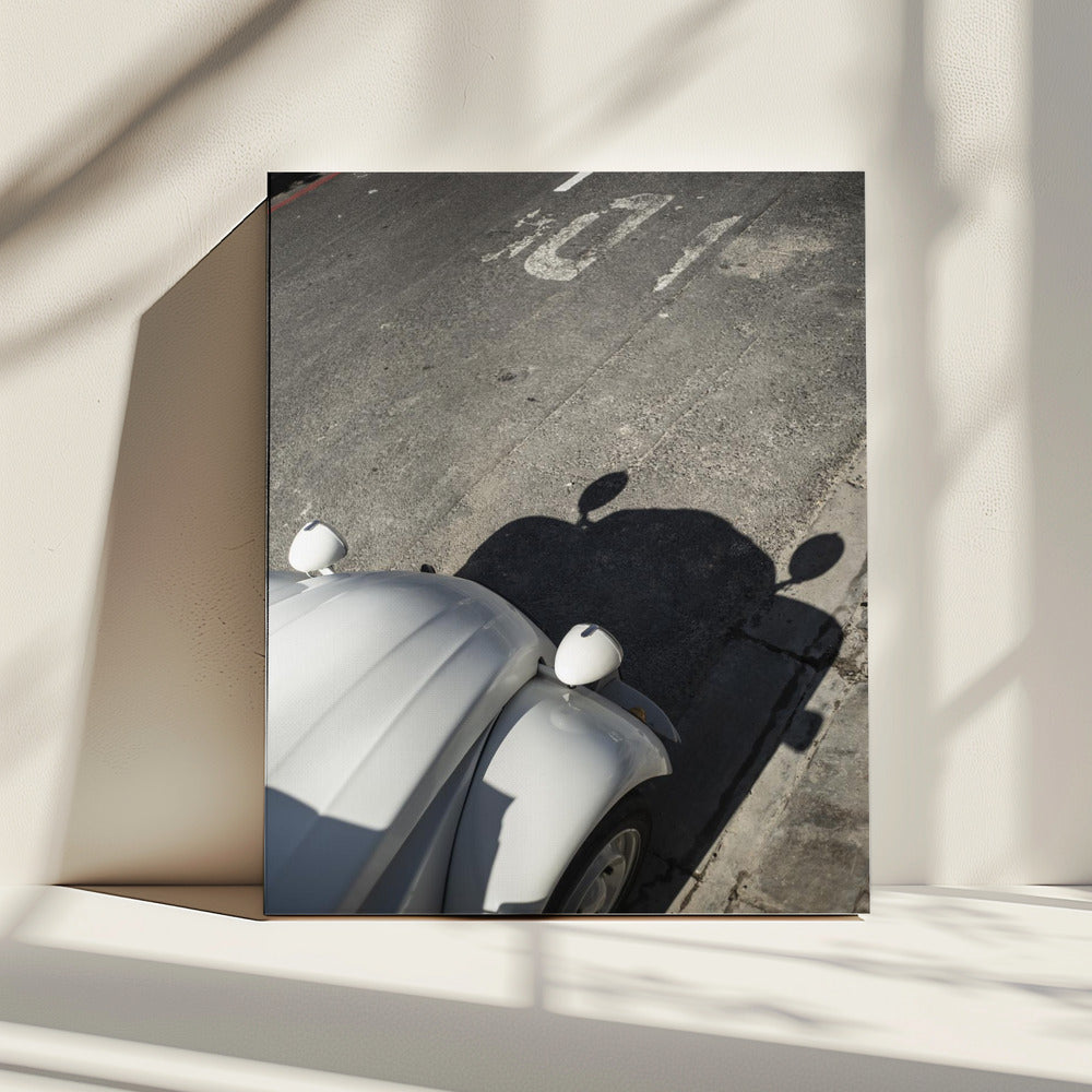 Classic Curve Shadows | Canvas