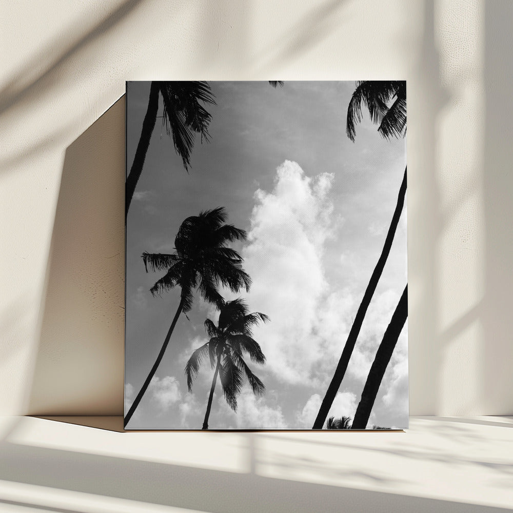 Silhouetted Palms | Canvas