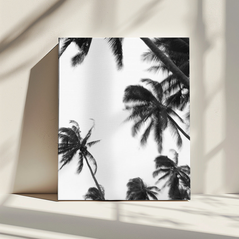 Swaying Palms | Canvas