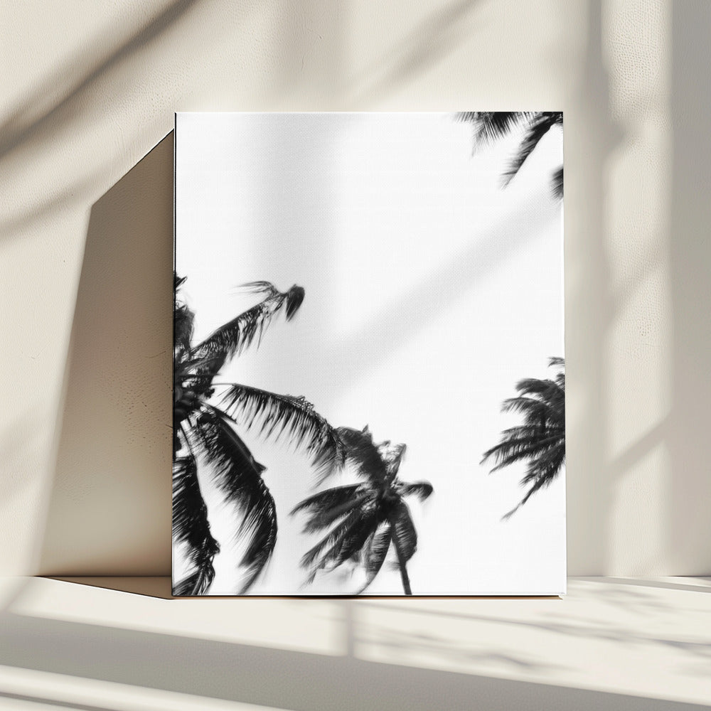 Swaying Palms | Canvas