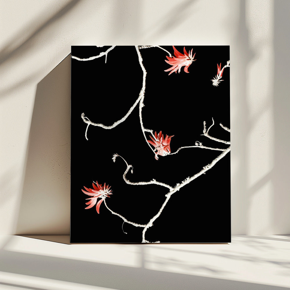Scarlet Branch Dance | Canvas