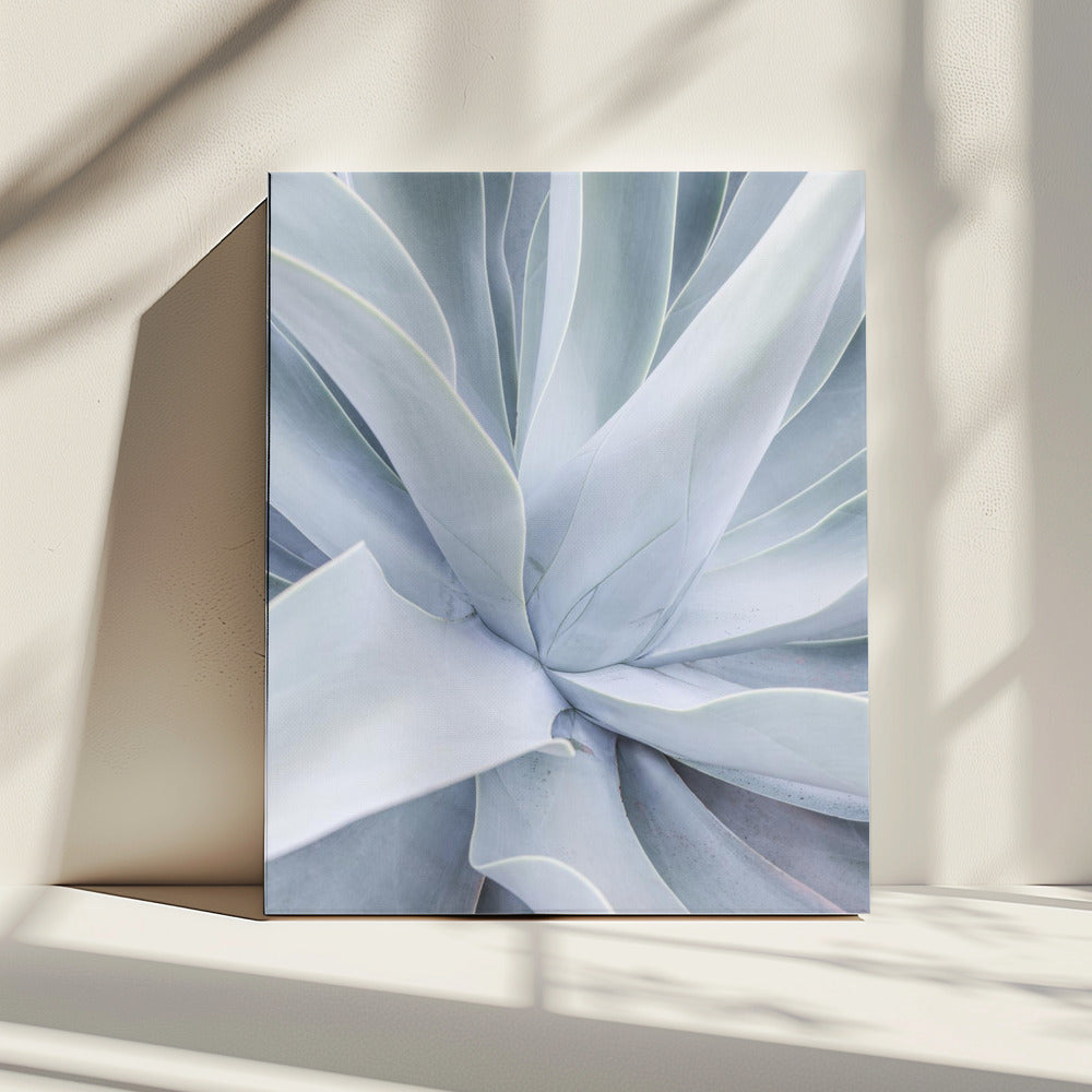 Silver Succulent Swirl | Canvas