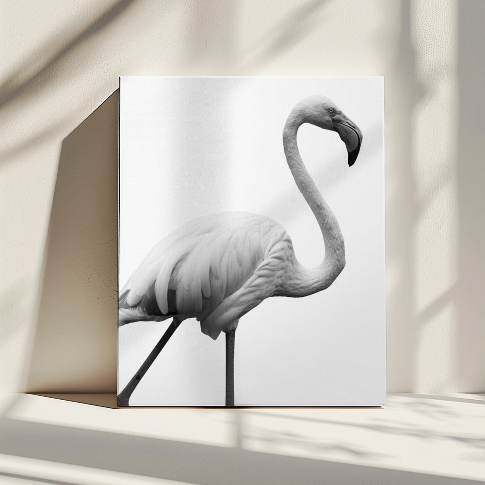 Graceful Silhouette | Canvas