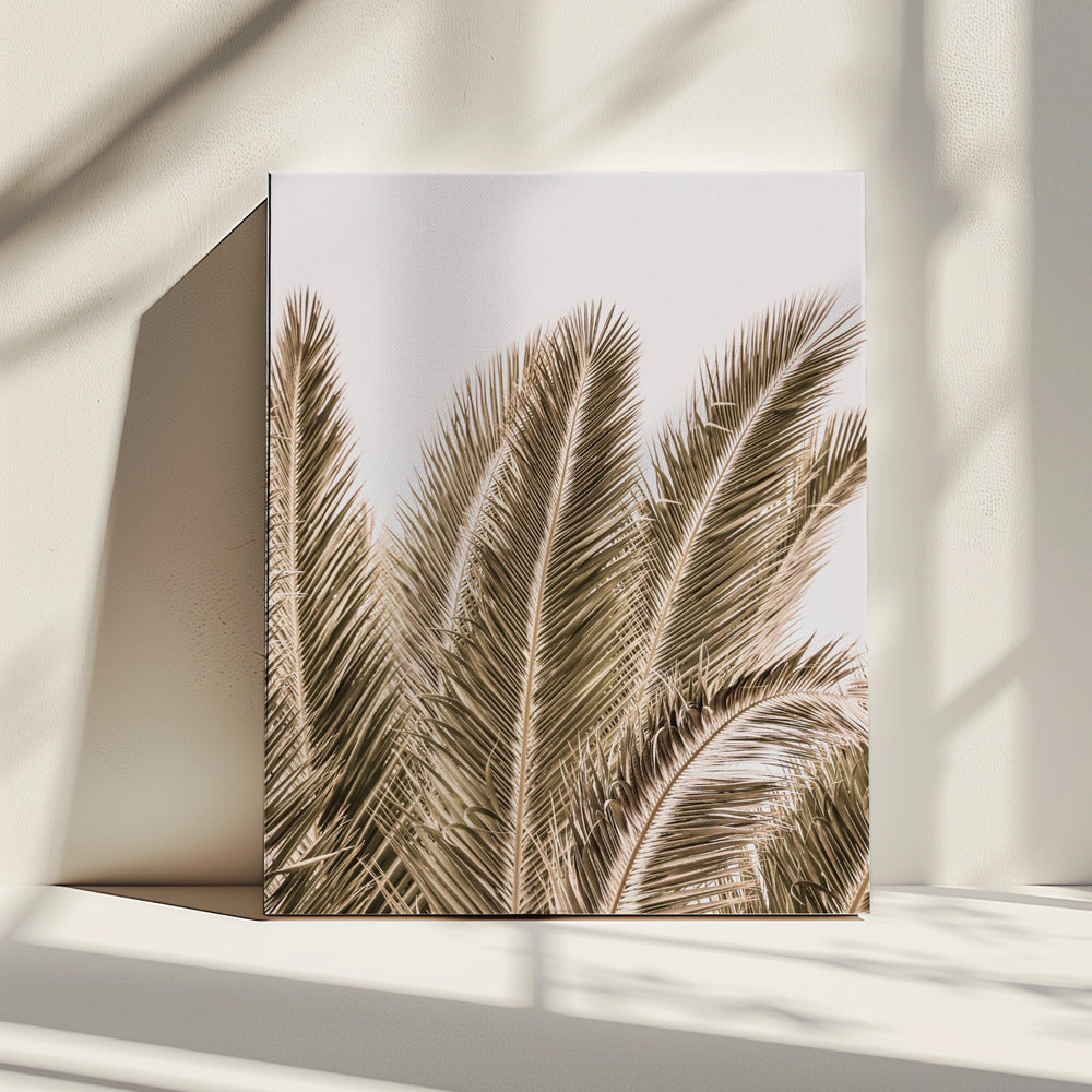 Windswept Palms | Canvas