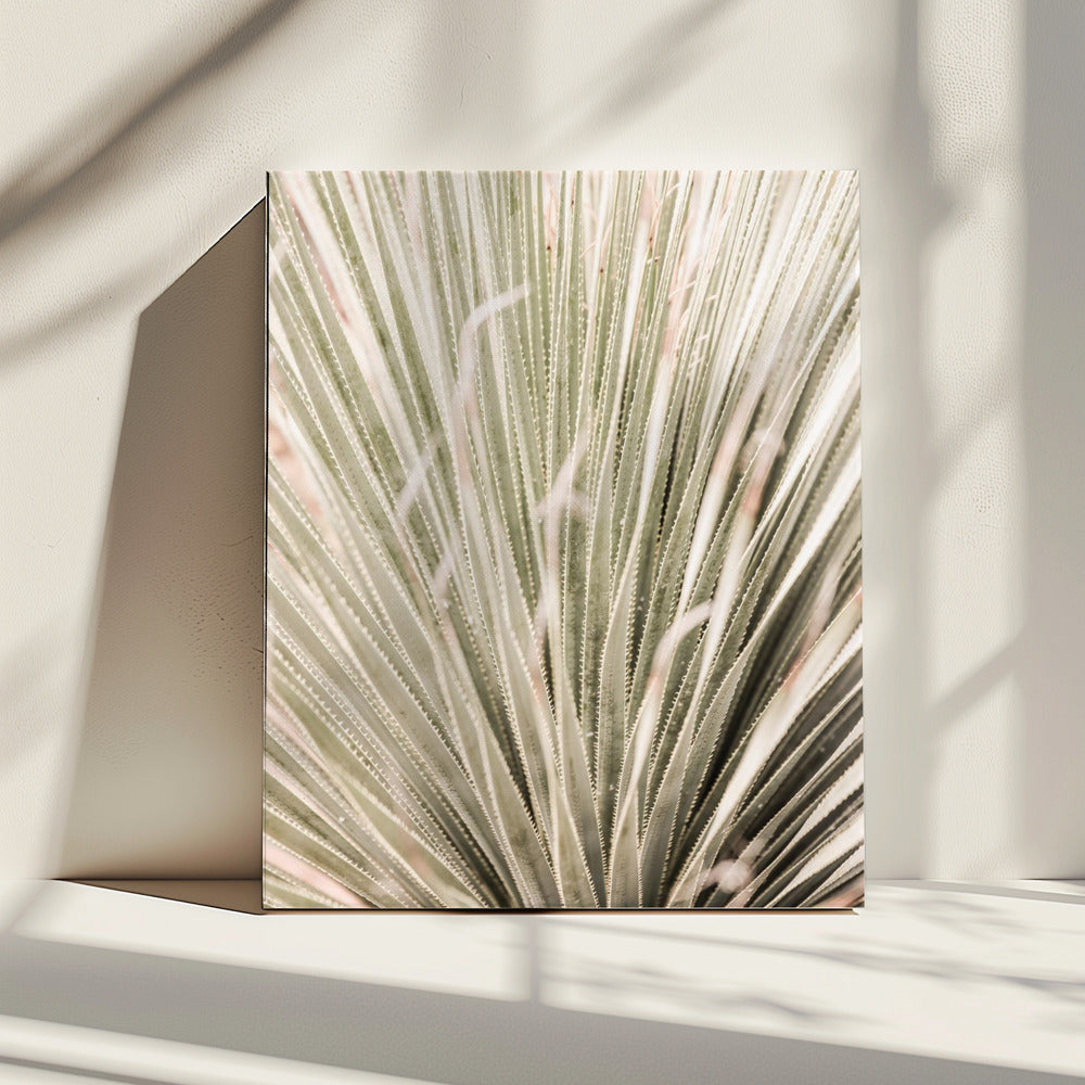 Spiky Serenity | Canvas