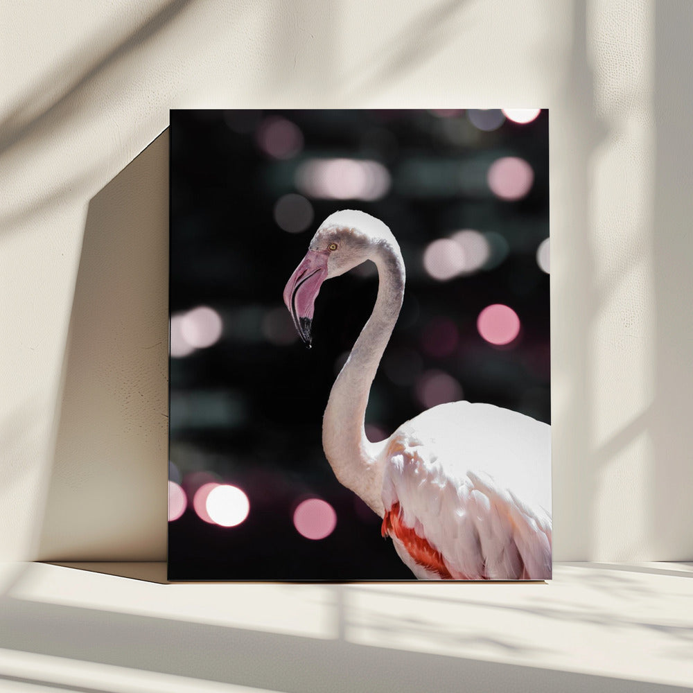 Flamingo Elegance | Canvas