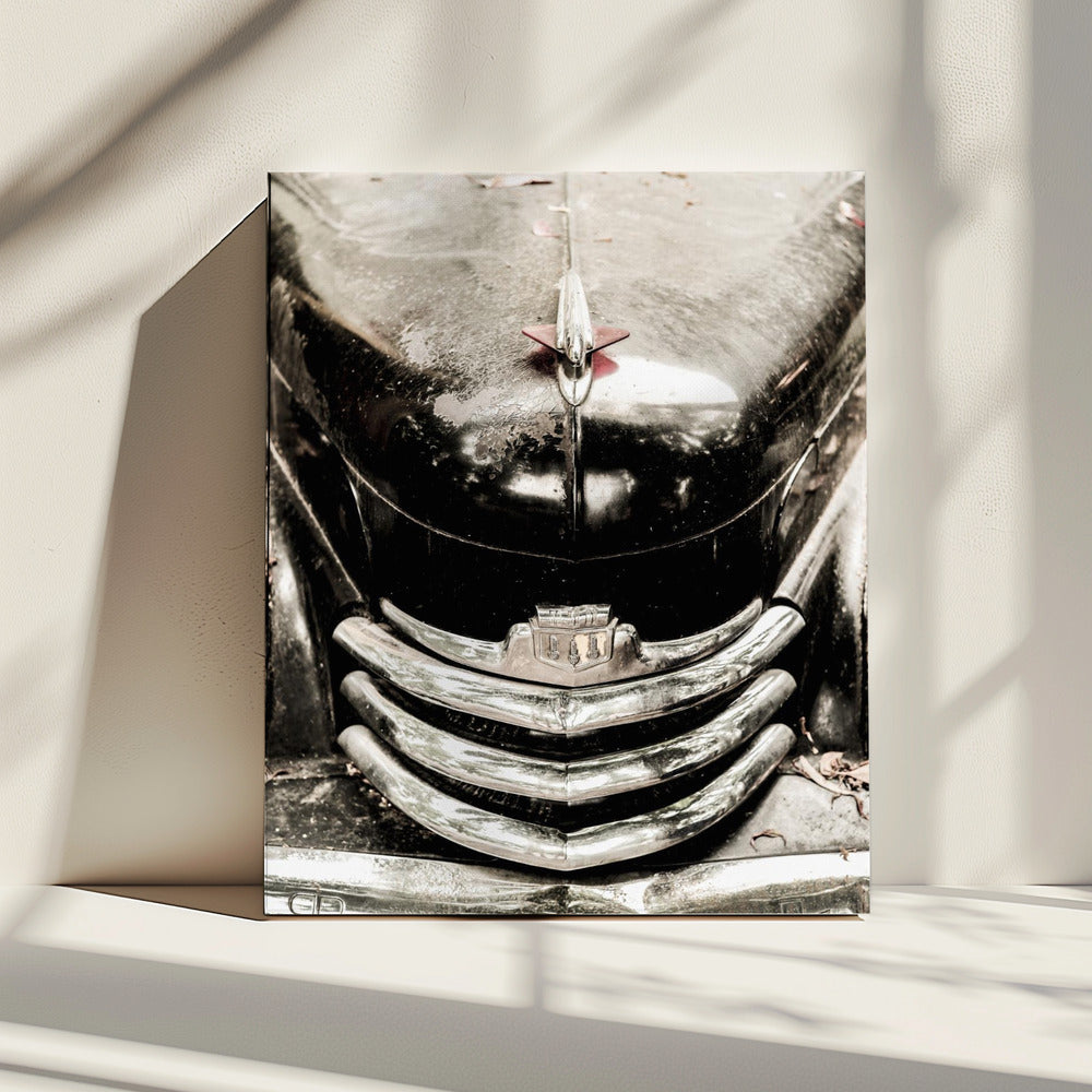 Vintage Elegance | Canvas