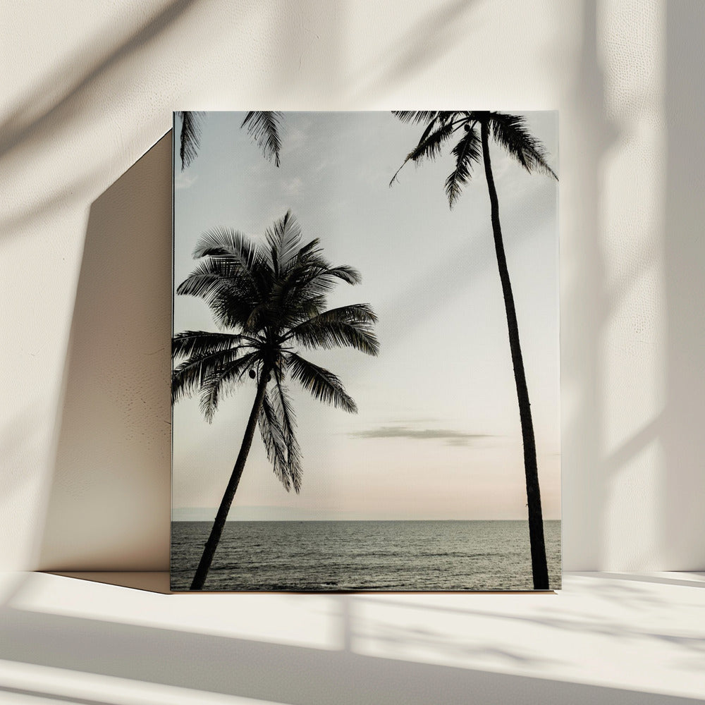 Tropical Dusk Sky | Canvas