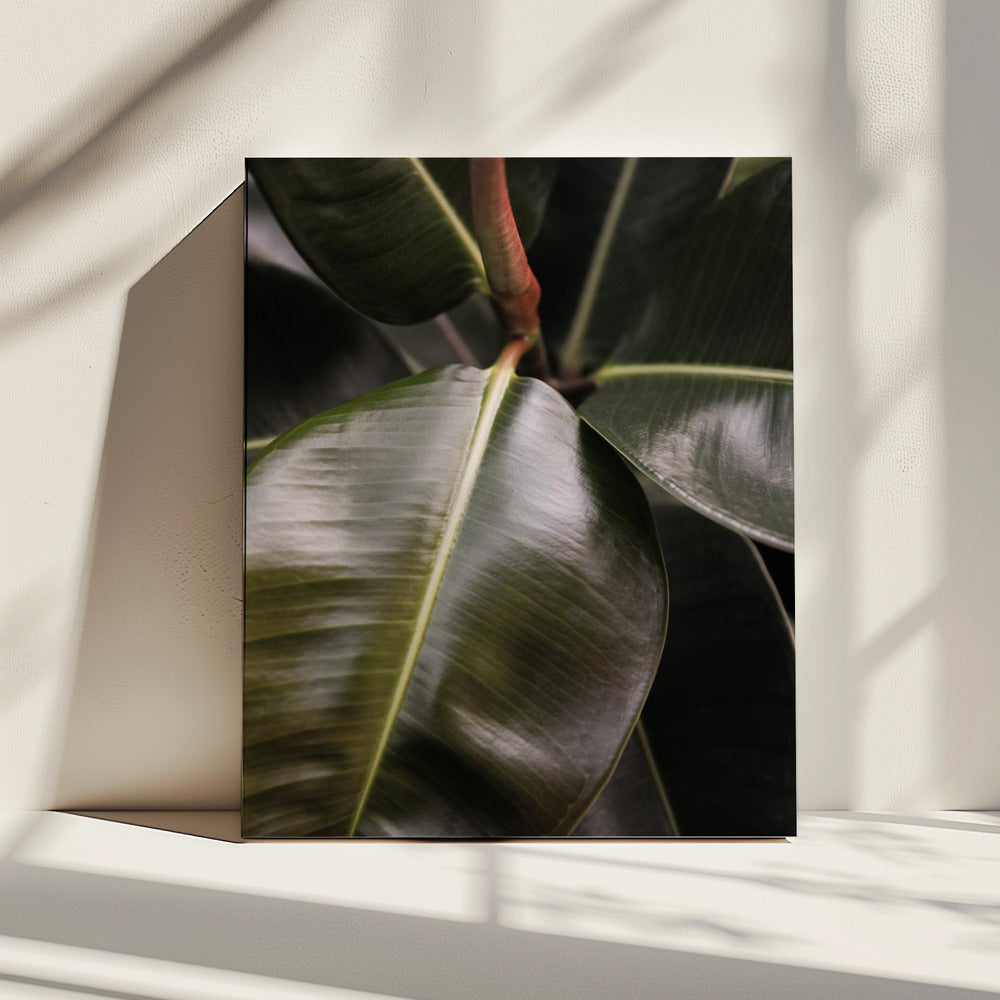Glossy Leaf Elegance | Canvas
