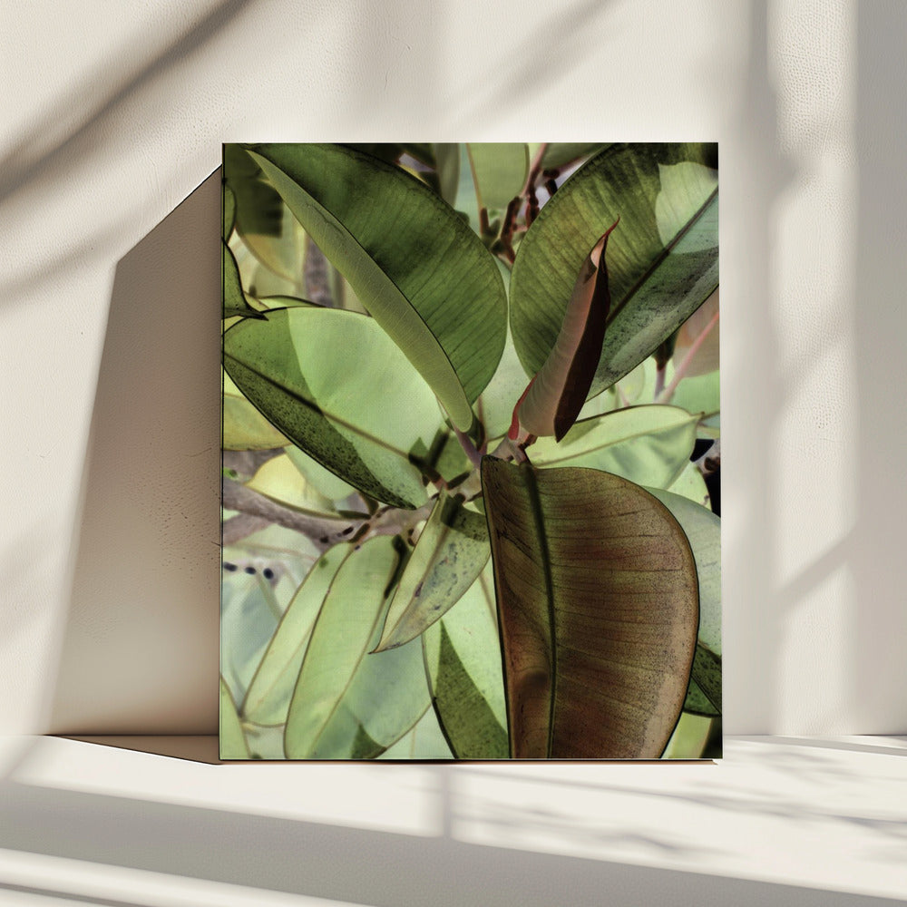 Leafy Dreamscape | Canvas