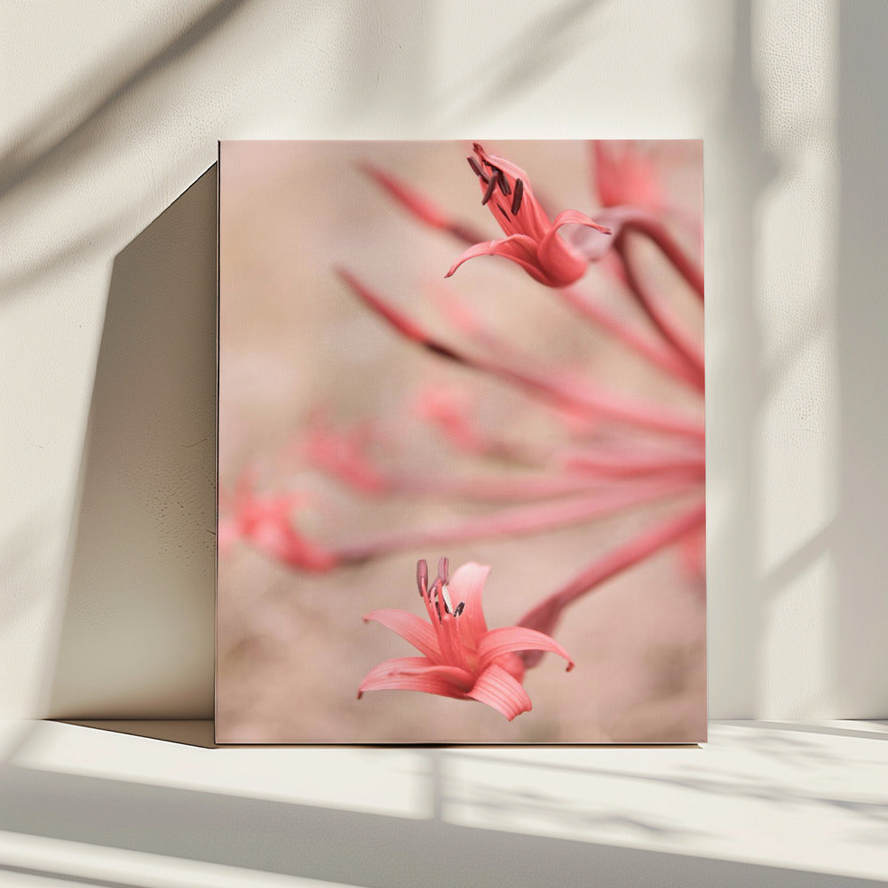 Petals in Focus | Canvas