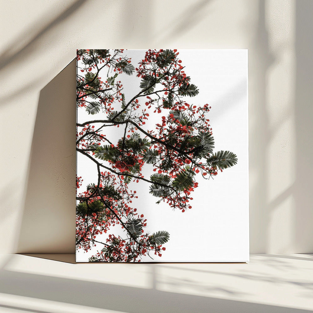 Blossom Canopy | Canvas