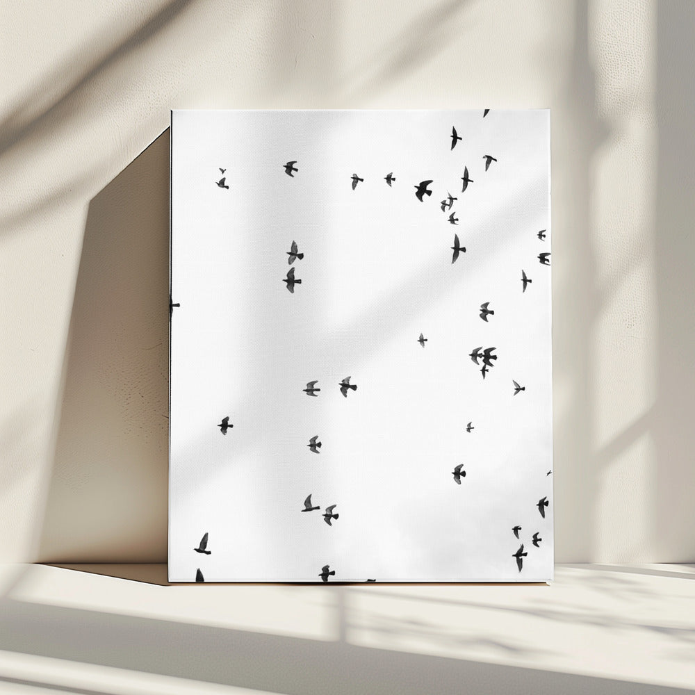 Flight in Silence | Canvas