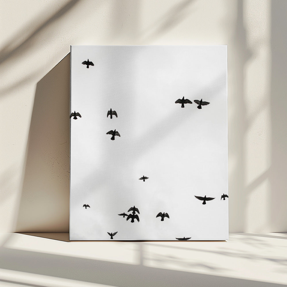 Soaring Shadows | Canvas