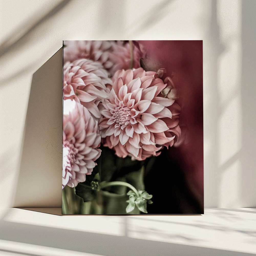 Blushing Petals | Canvas