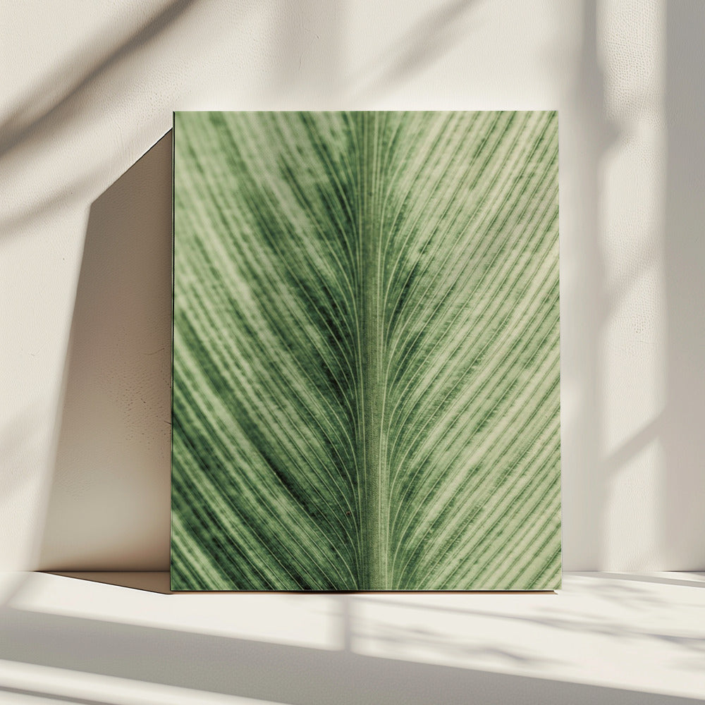 Verdant Veins | Canvas