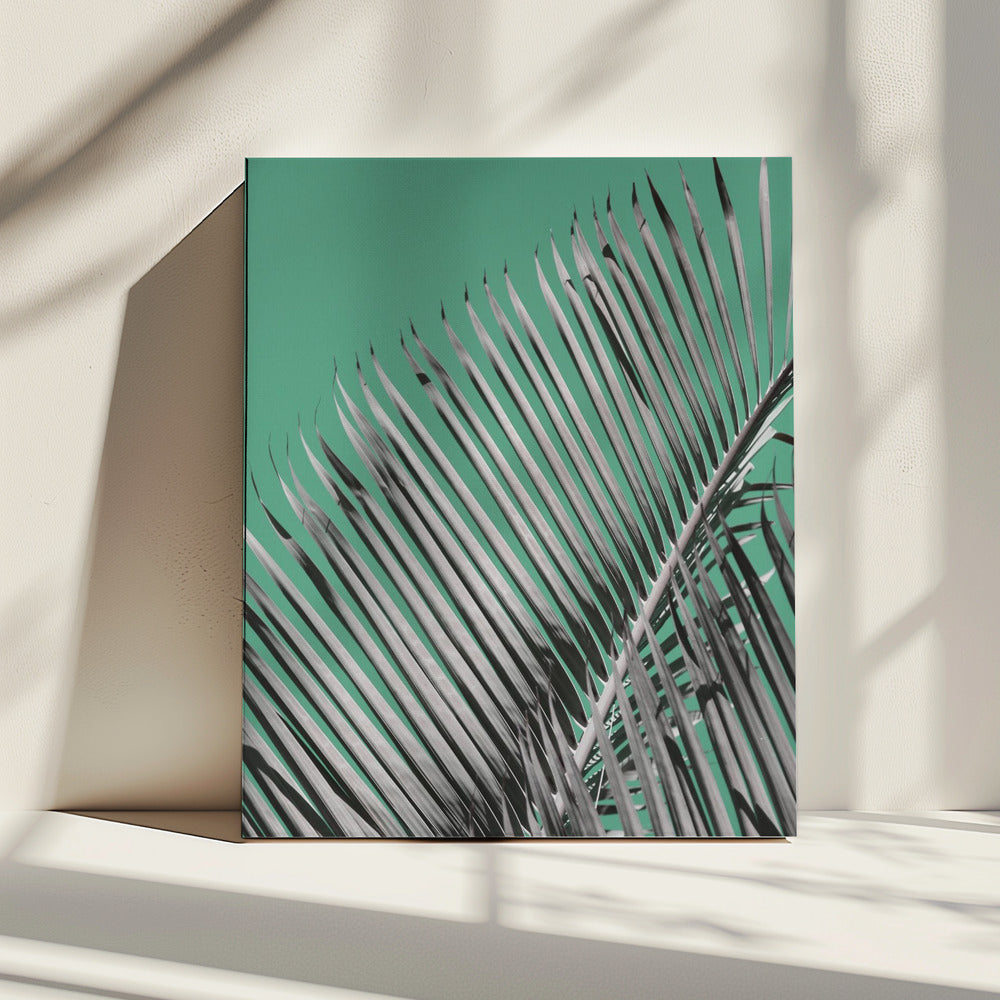 Palm Serenity | Canvas