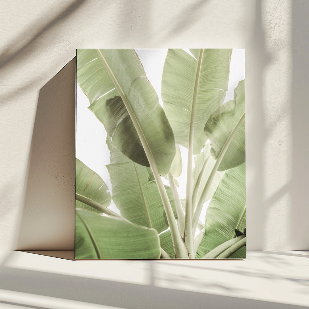 Verdant Leafscape | Canvas