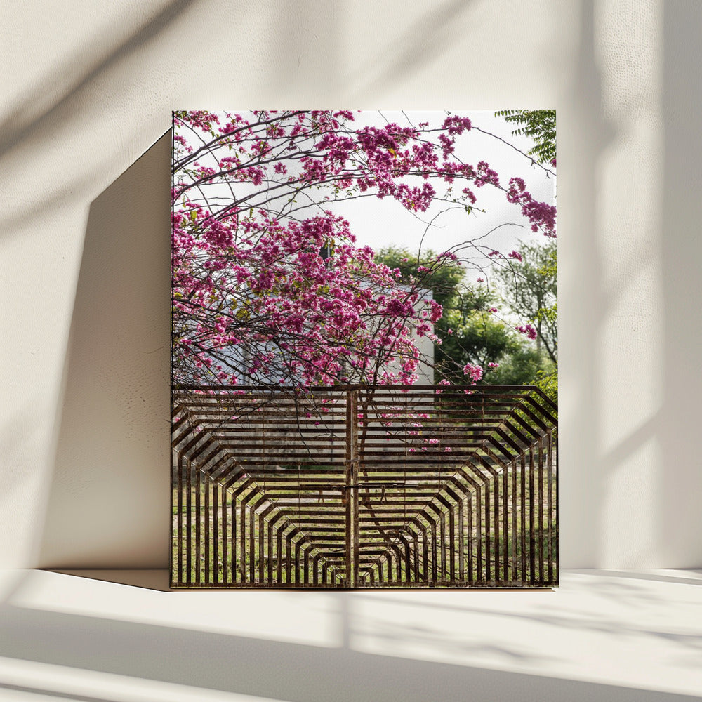 Blossoms Beyond Bars | Canvas