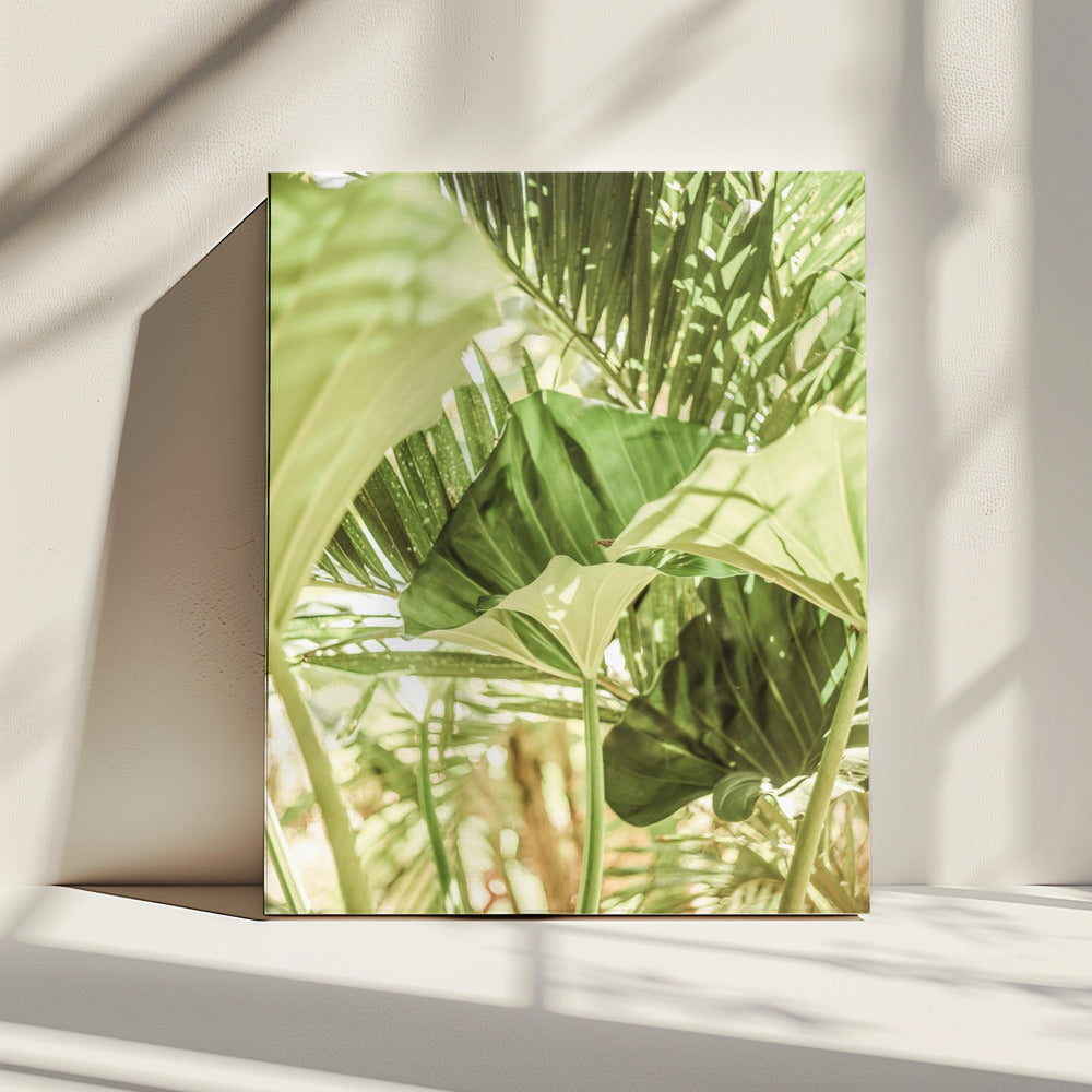 Sunlit Jungle Greens | Canvas