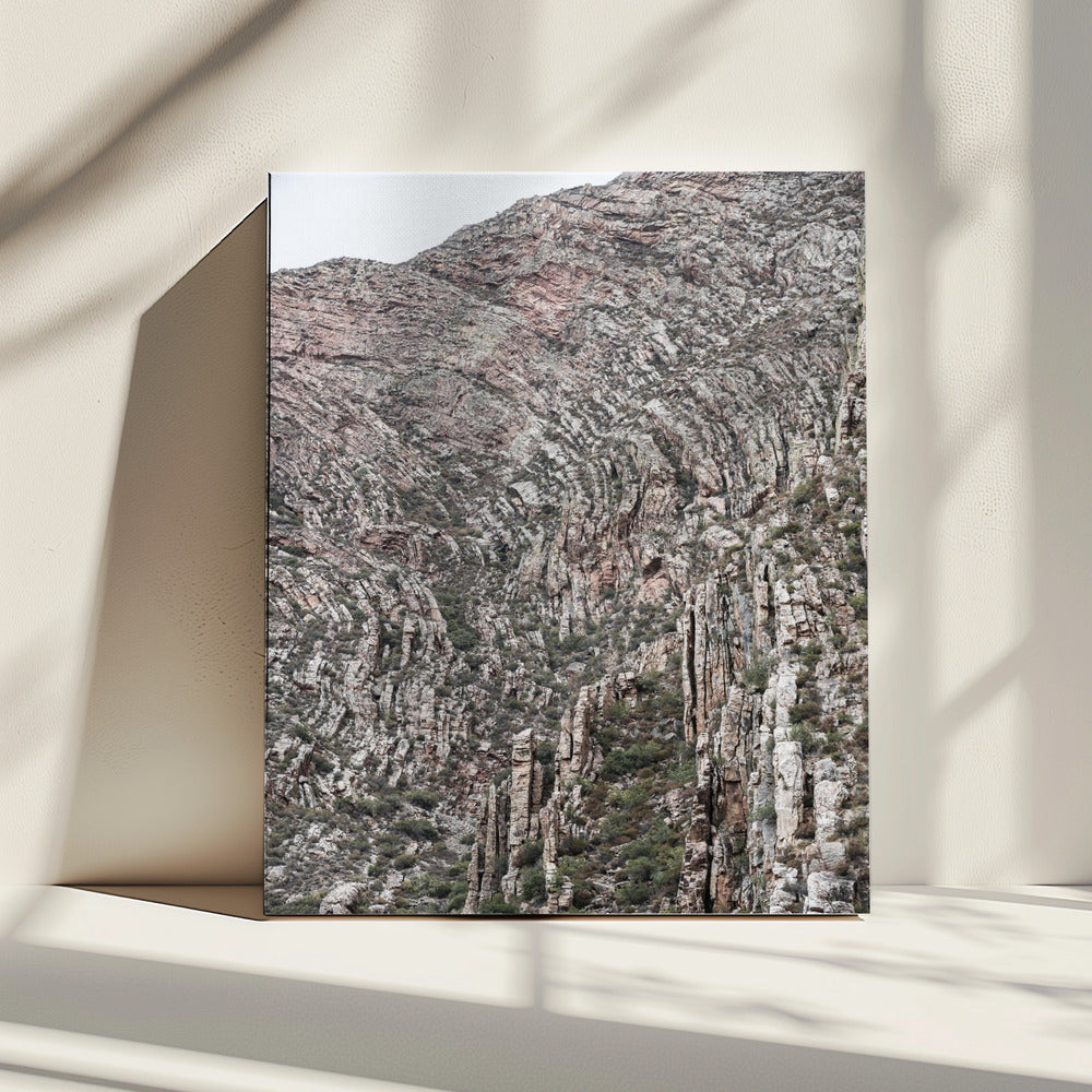 Textured Earthscape | Canvas