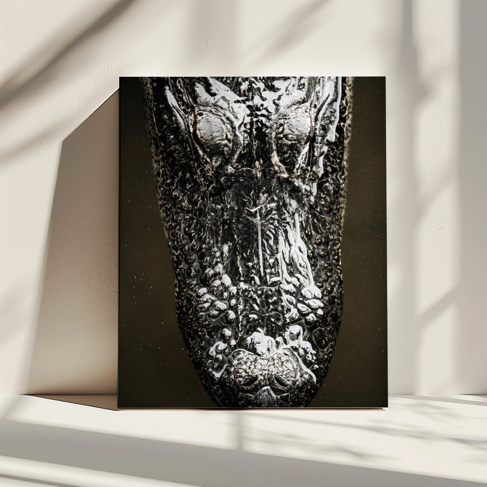 Glistening Apex | Canvas