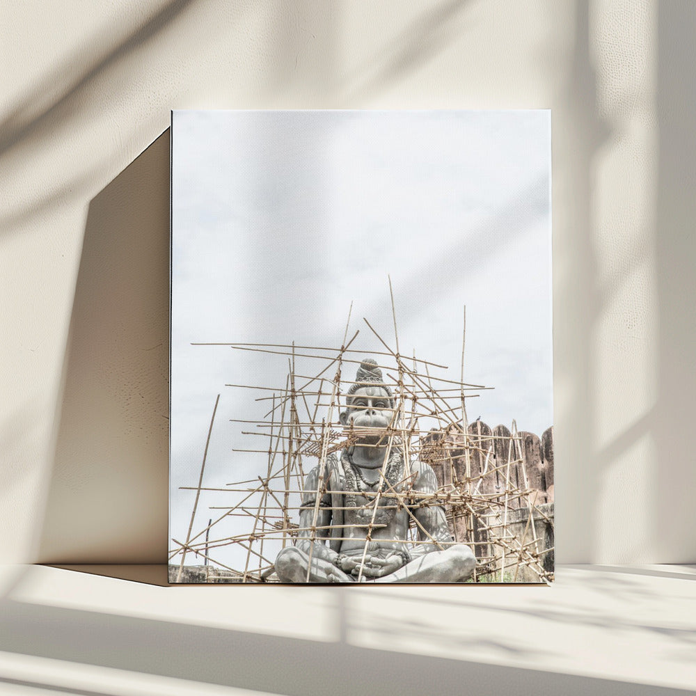 Sculpture in Progress | Canvas