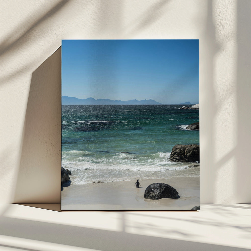 Penguin&#039;s Beach Walk | Canvas