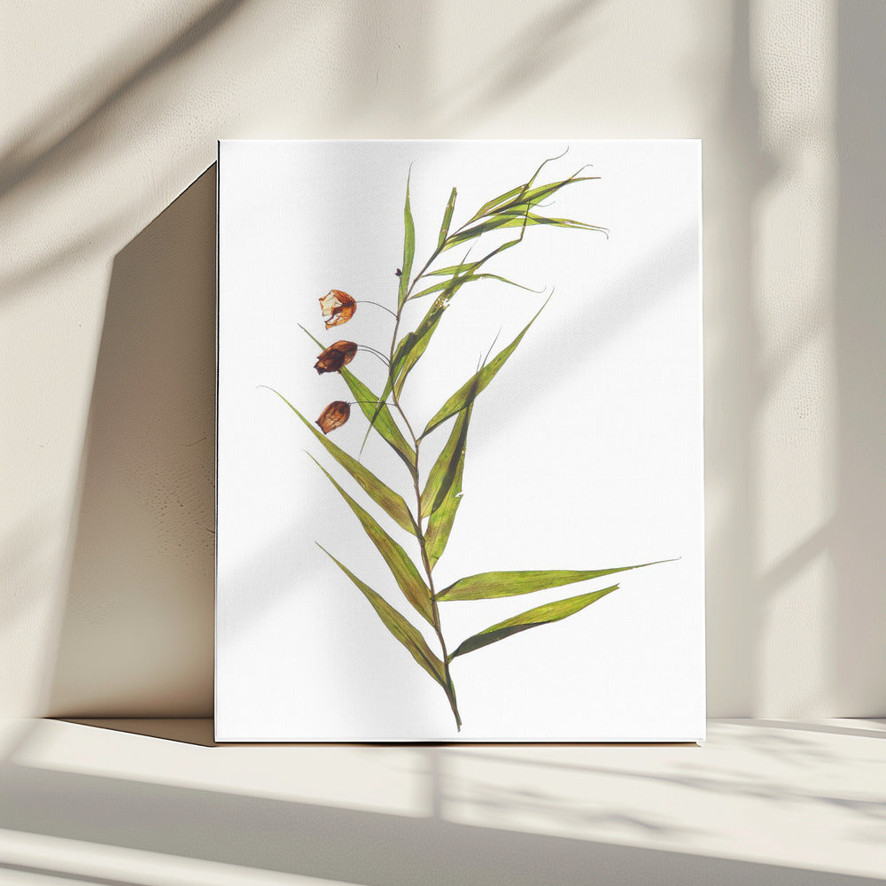 Whispering Leaves | Canvas