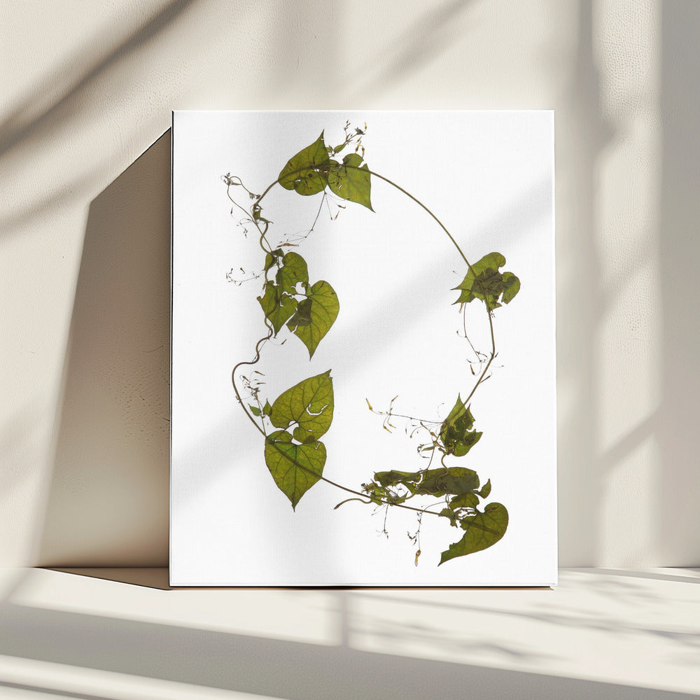 Leafy Circle Dance | Canvas