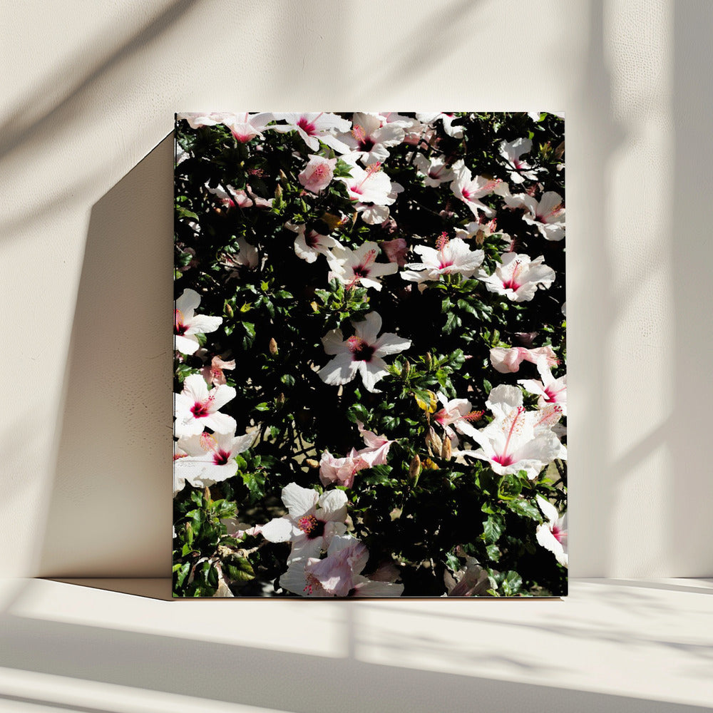 Blossom Symphony | Canvas