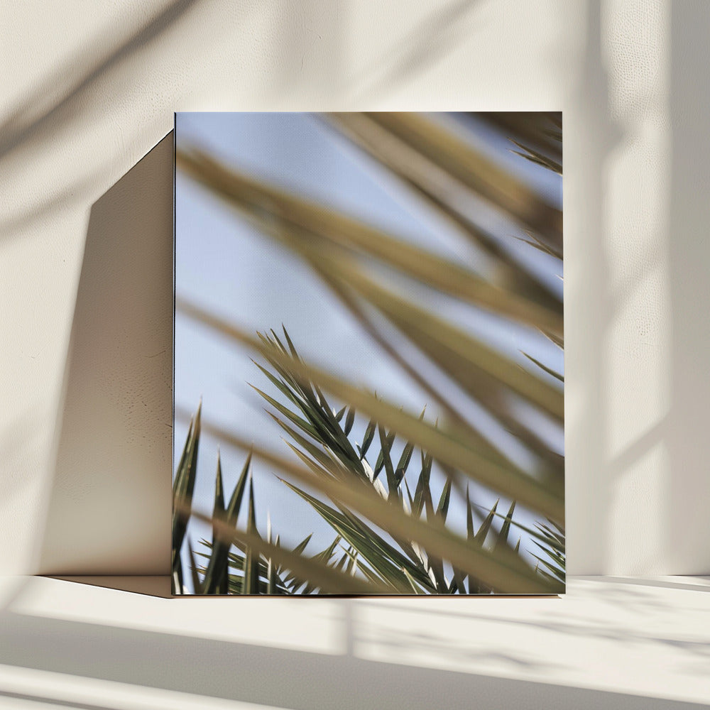 Whispering Palms | Canvas