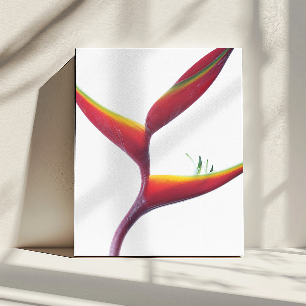Tropical Elegance | Canvas