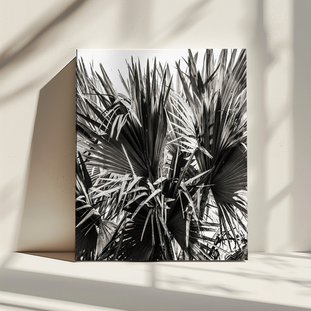 Spiky Serenity | Canvas
