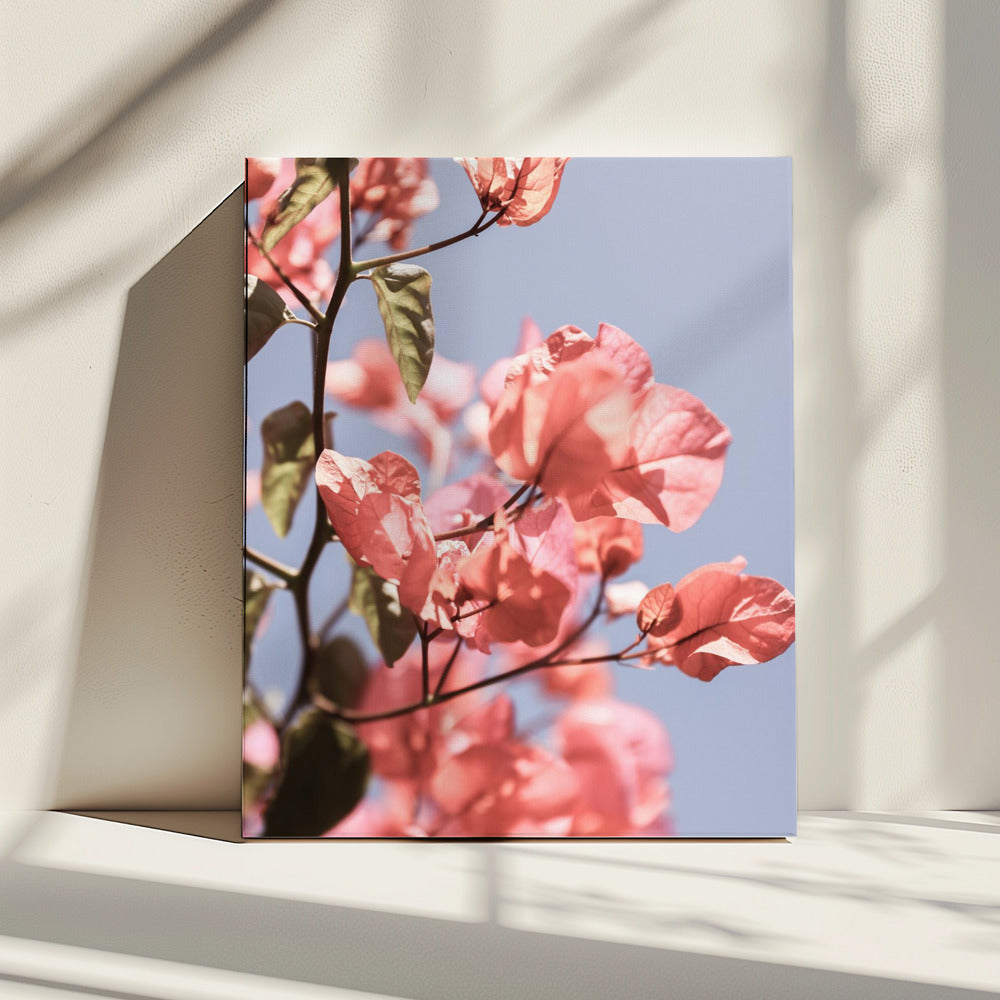Blossoms in Breeze | Canvas