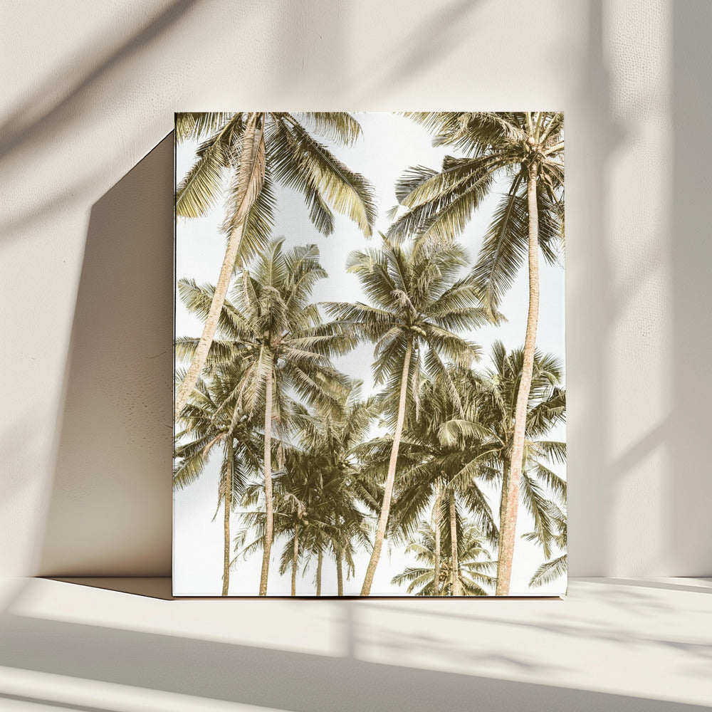 Tropical Serenity | Canvas