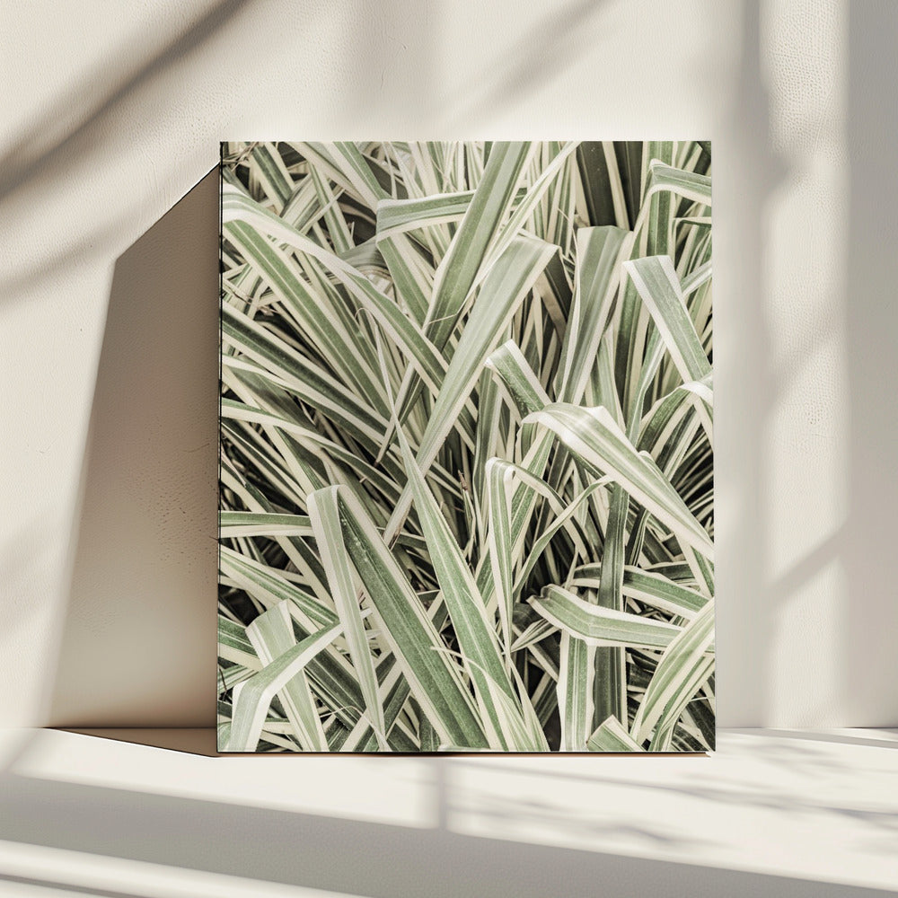 Verdant Stripes | Canvas
