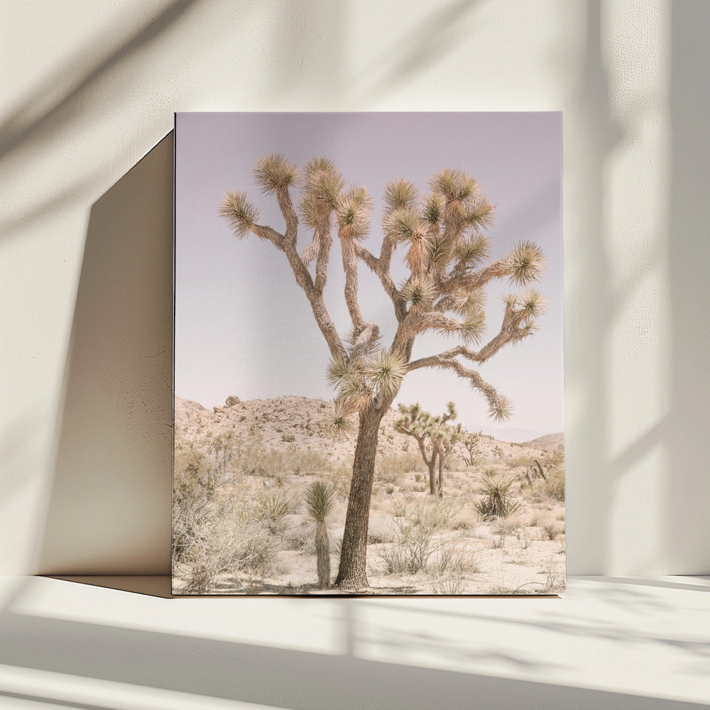 Desert Serenity | Canvas