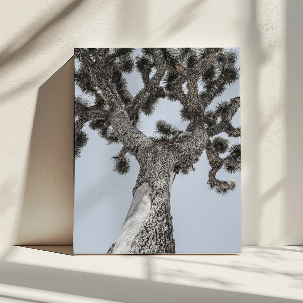 Twisting Desert Giant | Canvas