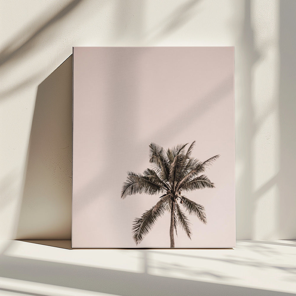 Pink Palm Serenity | Canvas