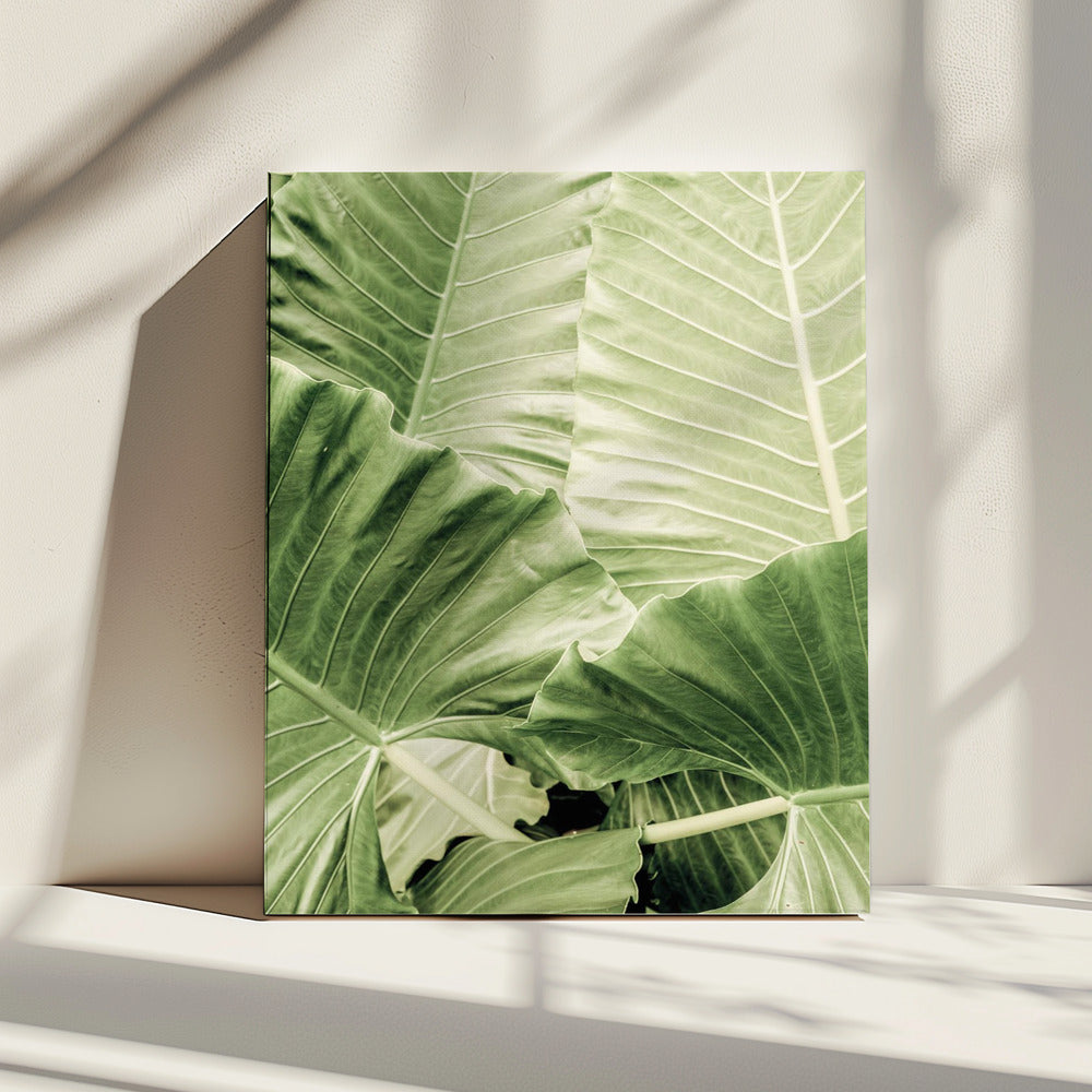 Verdant Foliage | Canvas