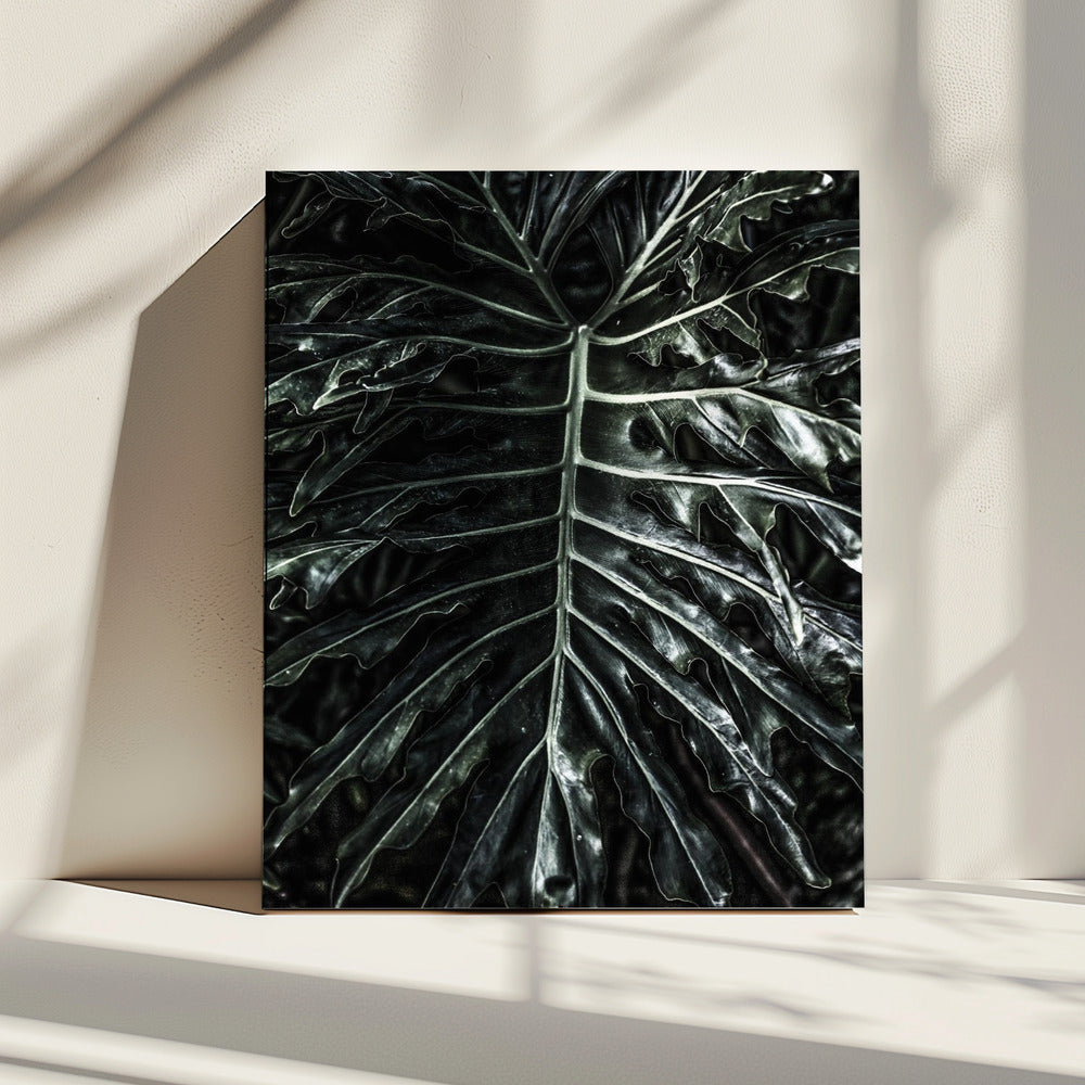 Dark Leaf Elegance | Canvas