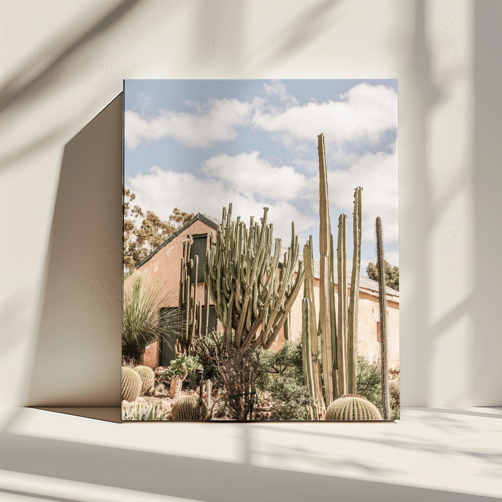 Cactus Haven | Canvas