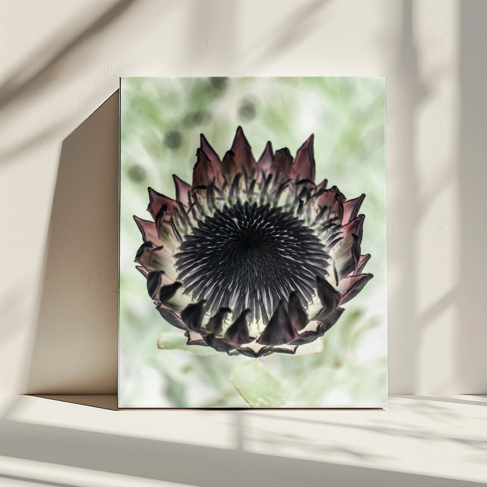 Mystic Bloom | Canvas